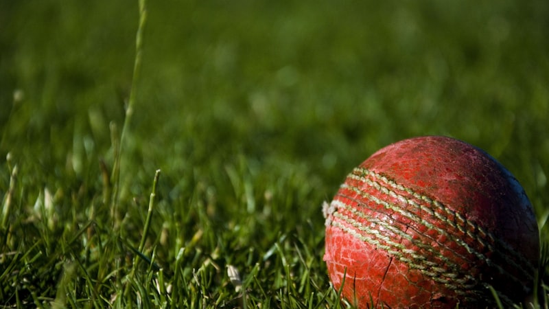 世界杯比赛实况技术统计与数据分析